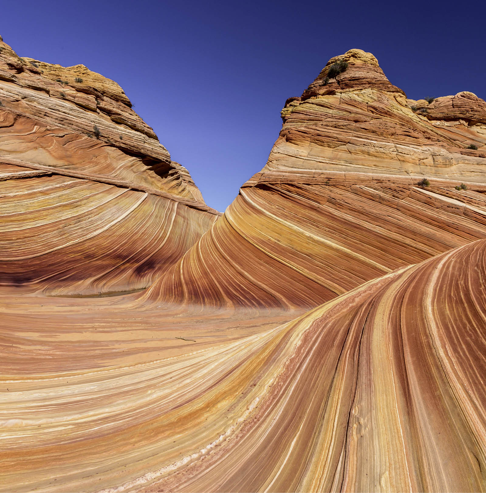 Coyote Buttes in the Vermilion Cliffs Arizona